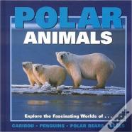 Polar Animals