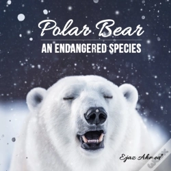 Capa do artigo Polar Bear