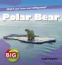 Polar Bear - Preview