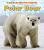 Polar Bear - Preview