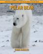 Polar Bear - Preview