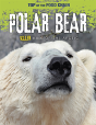 Polar Bear - Preview