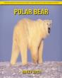 Polar Bear - Preview