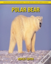Capa do artigo Polar Bear