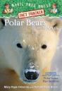 Polar Bears And The Arctic - Preview