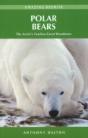 Polar Bears - Preview