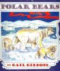 Polar Bears - Preview