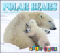 Polar Bears - Preview