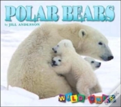 Capa do artigo Polar Bears