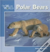 Polar Bears
