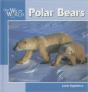 Polar Bears - Preview