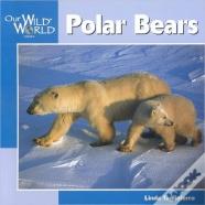 Polar Bears