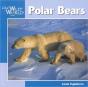 Polar Bears - Preview