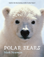 Polar Bears - Preview