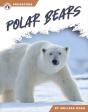 Polar Bears - Preview