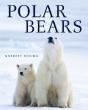 Polar Bears - Preview