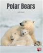 Polar Bears - Preview