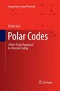 Polar Codes - Preview