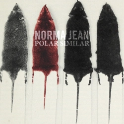 Capa do artigo Polar Similar - CD