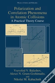 Capa do artigo Polarization And Correlation Phenomena In Atomic Collisions