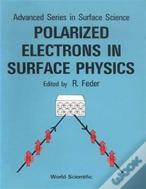 Polarized Electrons In Surface Physics
