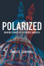 Polarized - Preview