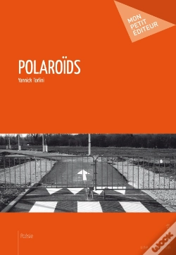 Capa do artigo Polaroïds
