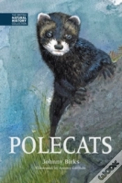 Capa do artigo Polecats