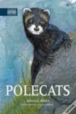 Capa do artigo Polecats