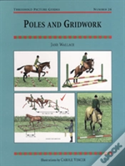 Capa do artigo Poles And Gridwork