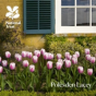Polesden Lacey - Preview