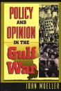 Policy And Opinion In The Gulf War - Preview