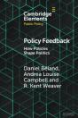 Policy Feedback - Preview