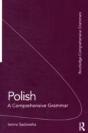 Polish: A Comprehensive Grammar - Preview