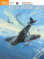 Capa do artigo Polish Spitfire Aces