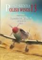 Polish Wings 13 Supermarine Spitfire Ix - Preview