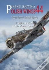 Polish Wings No. 44 Curtiss Hawk H-75