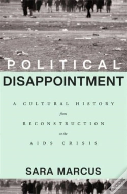 Capa do artigo Political Disappointment