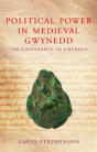 Political Power In Medieval Gwynedd - Preview