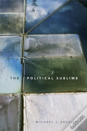 Capa do artigo Political Sublime