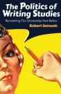 Politics Of Writing Studies - Preview