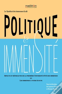 Capa do artigo Politique & Immensité
