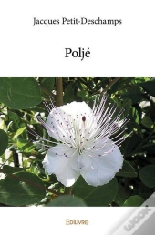 Polje