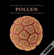 Capa do artigo Pollen
