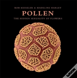 Capa do artigo Pollen