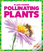 Capa do artigo Pollinating Plants