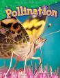Pollination - Preview
