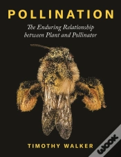Capa do artigo Pollination