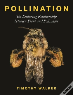 Capa do artigo Pollination