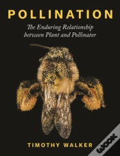 Capa do artigo Pollination
